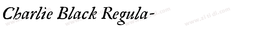 Charlie Black Regula字体转换